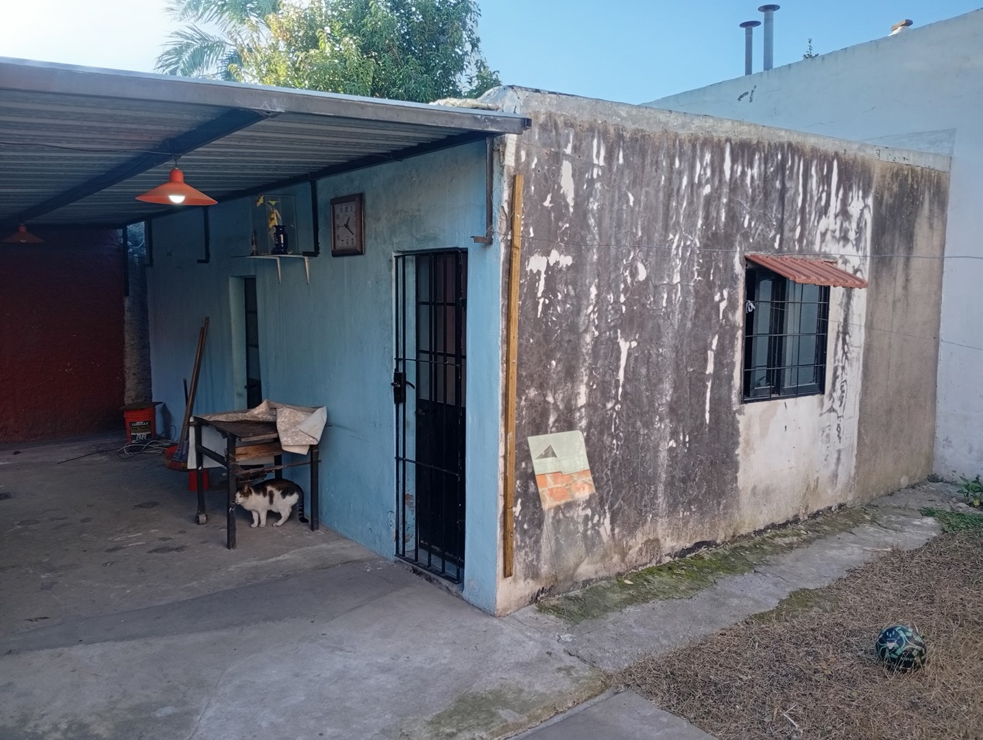 Foto 7