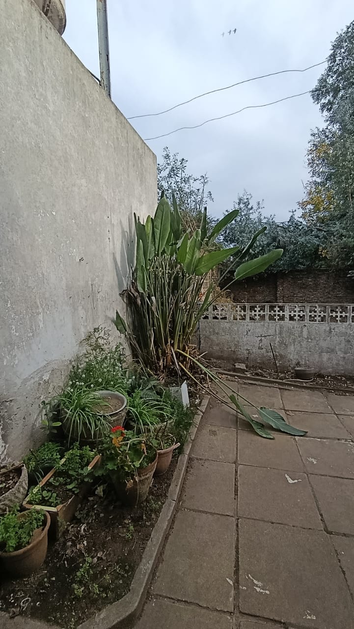 Foto 13
