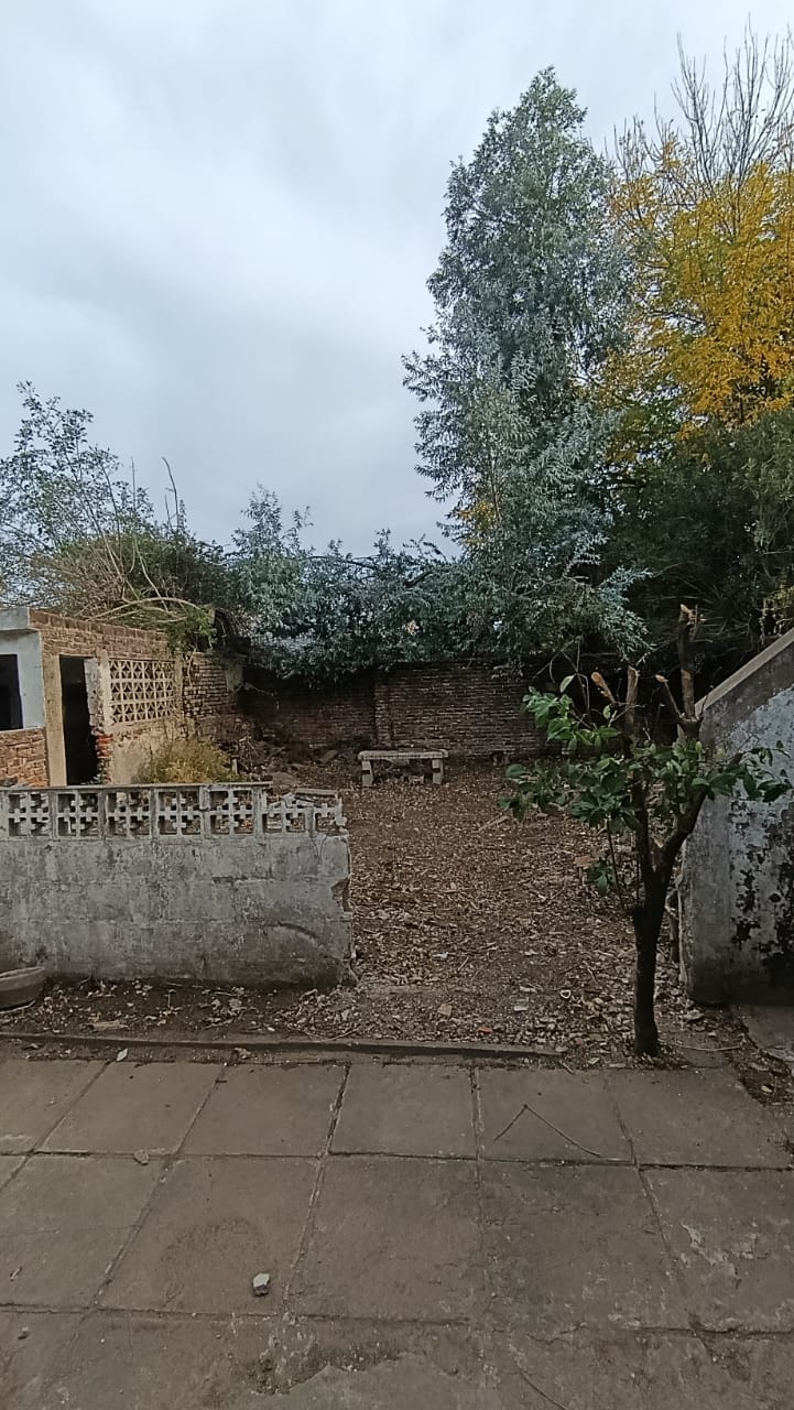 Foto 16